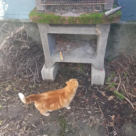 Colocation Dans Maison De 100 M2 Homestay *