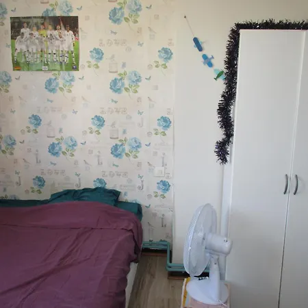 Homestay Colocation Dans Maison De 100 M2 Carcassonne